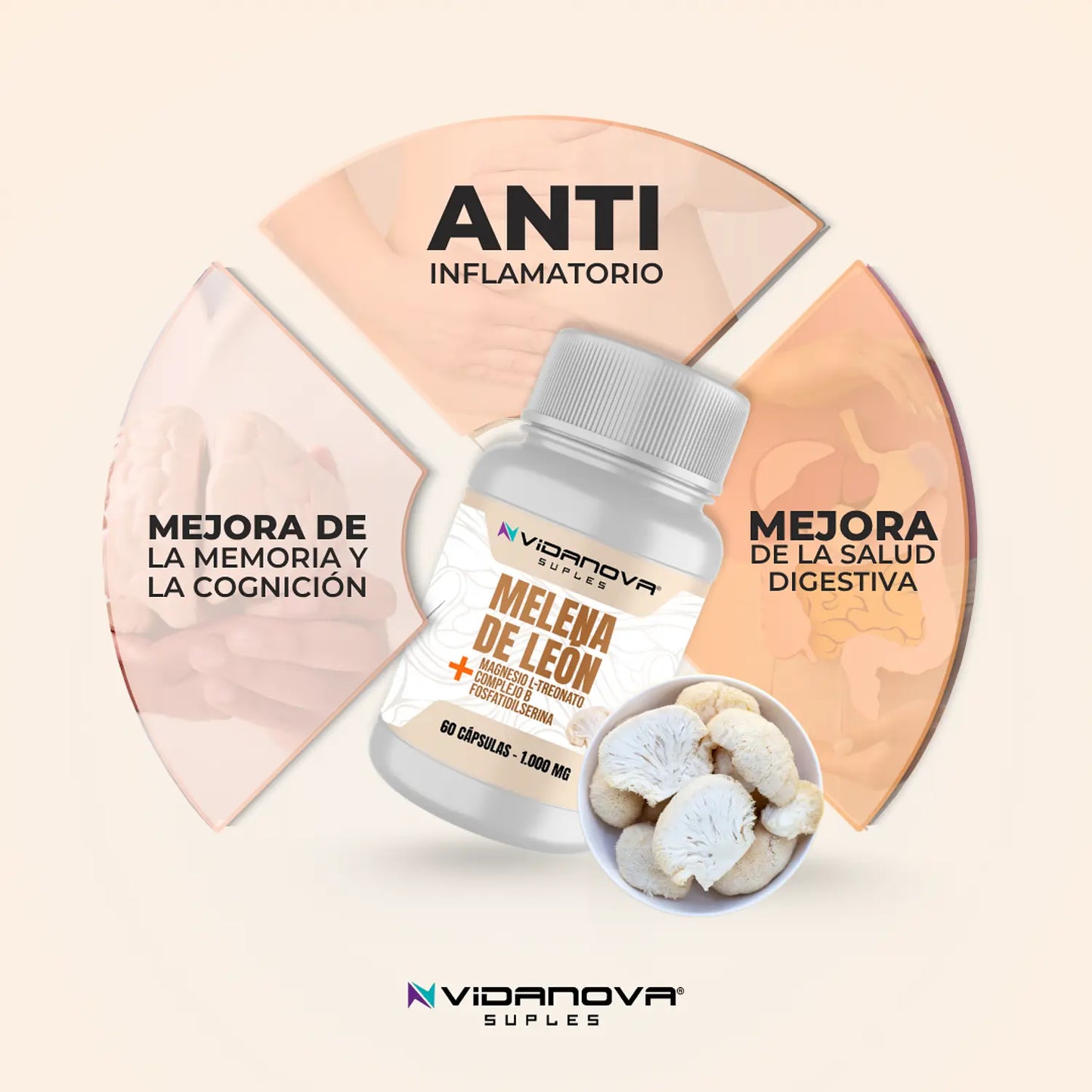 🦁 MELENA DE LEON FORTIFICADA 💪🏻